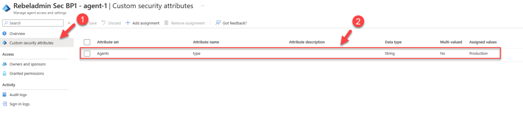 custom security attribute set in agent identity level